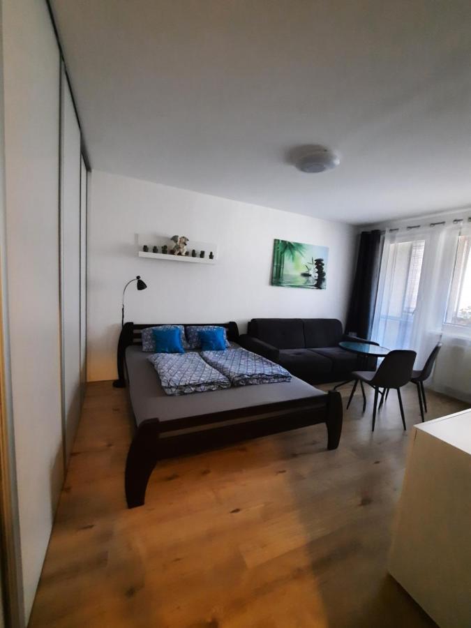 Apartment Klimka With Balcony, Free Wifi And Free Parking 布拉迪斯拉发 外观 照片